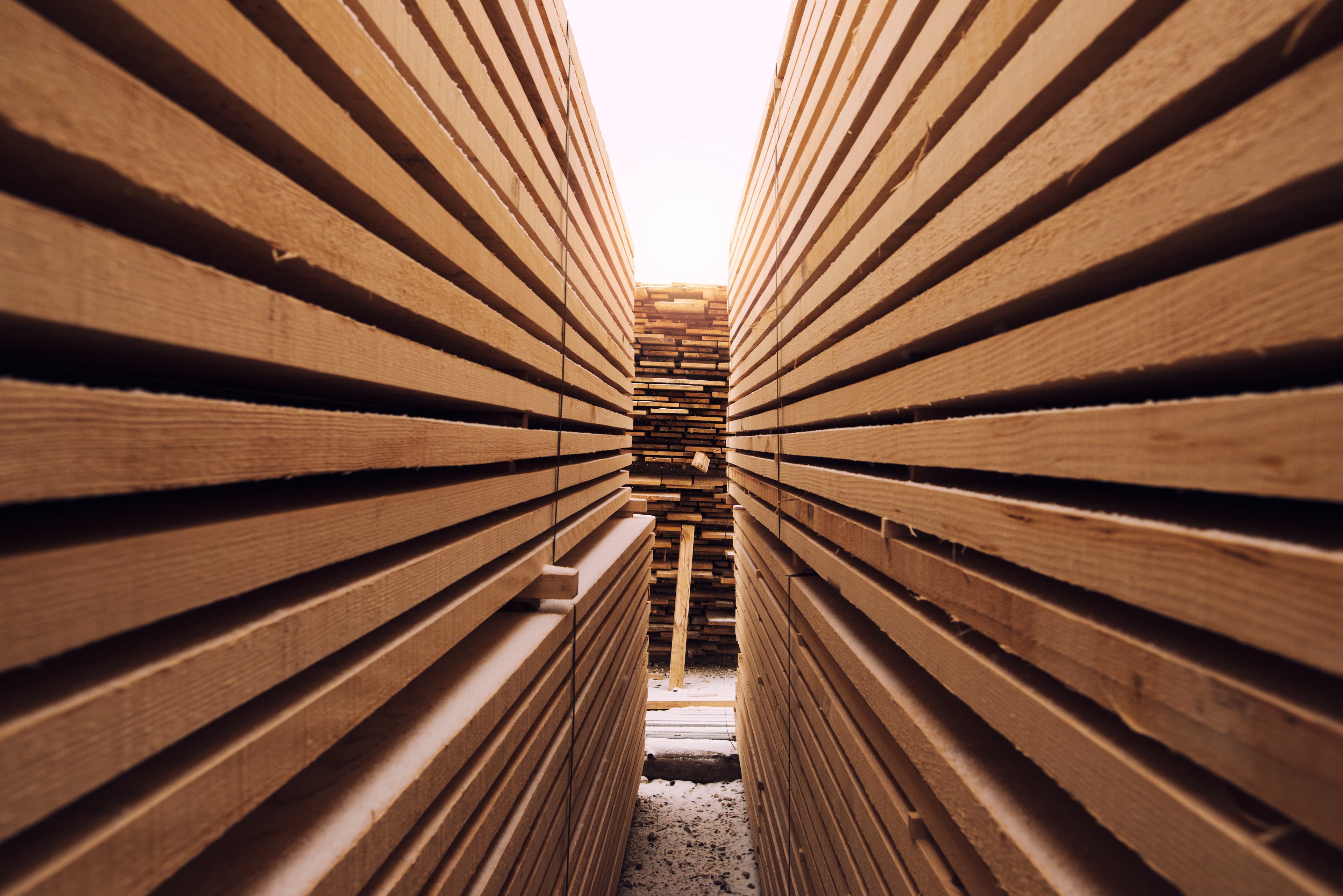 Stock de madera de pino apilada